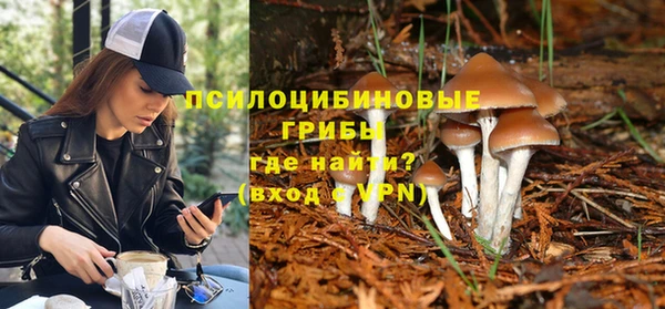 героин Новодвинск
